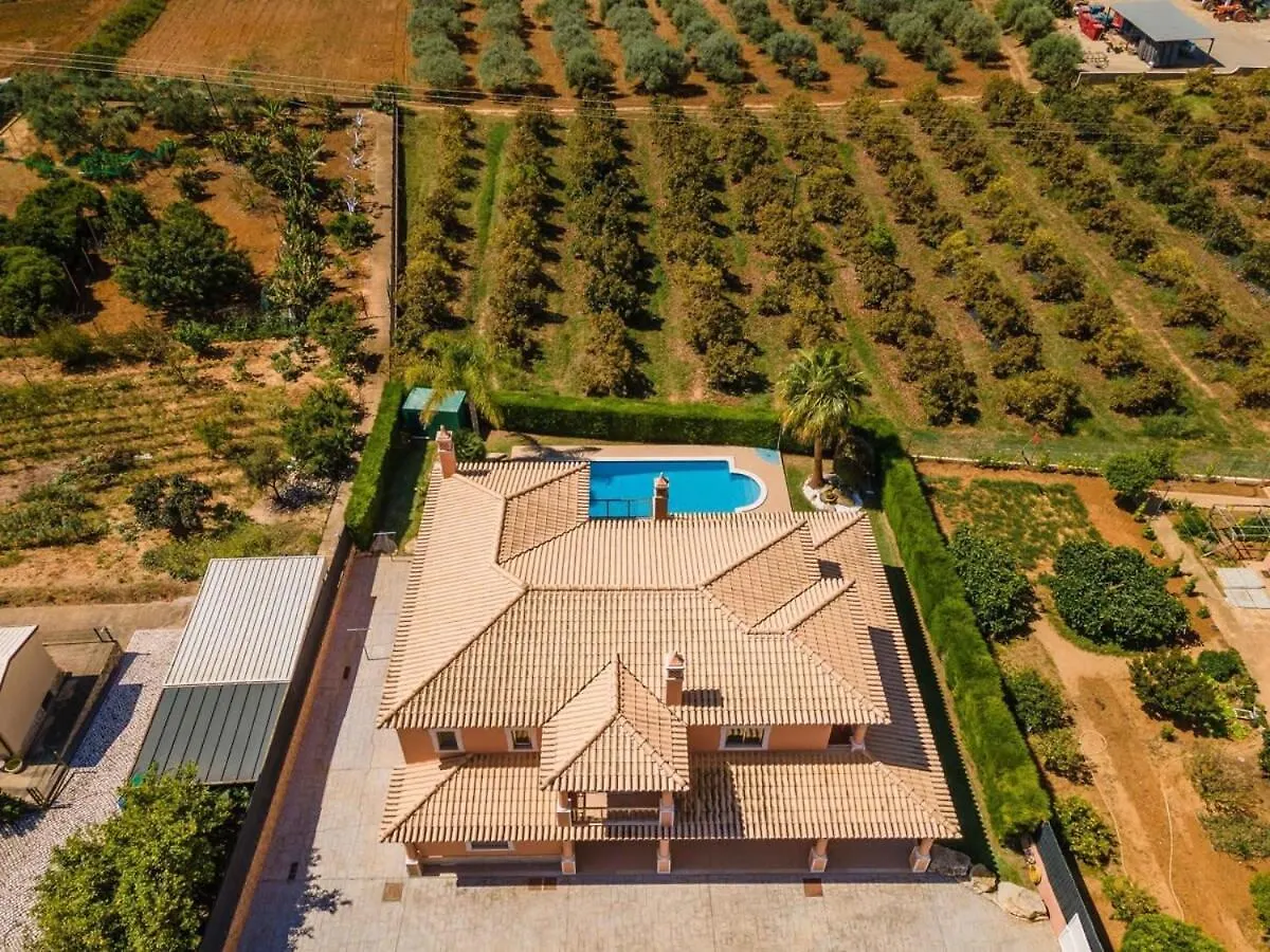 Semesterbostad Villa Hugo - Bright Modern Walk To Restaurants Albufeira